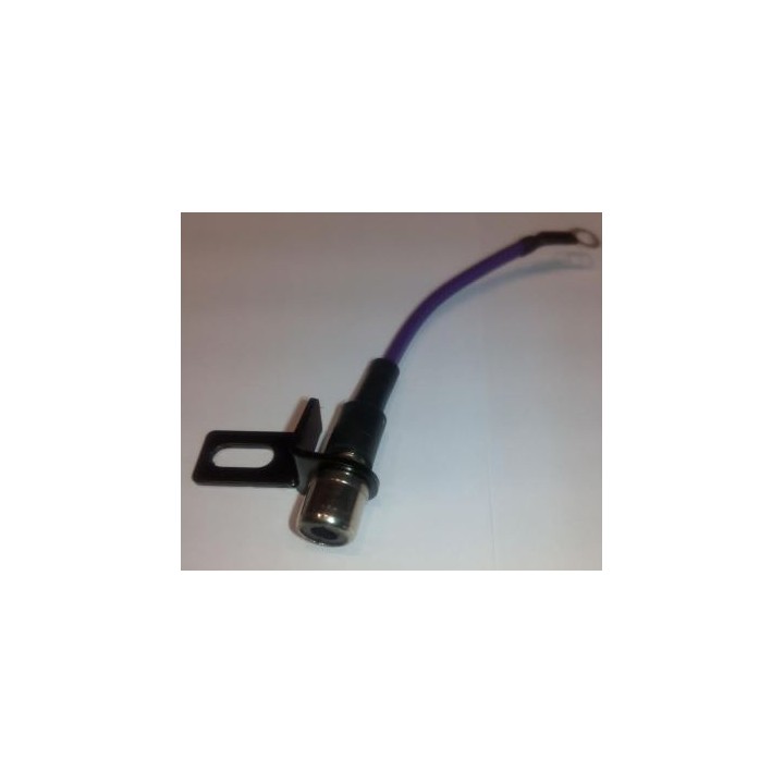 Conexión RCA