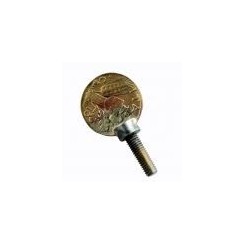 Tornillo de cierre tubo moneda antigua
