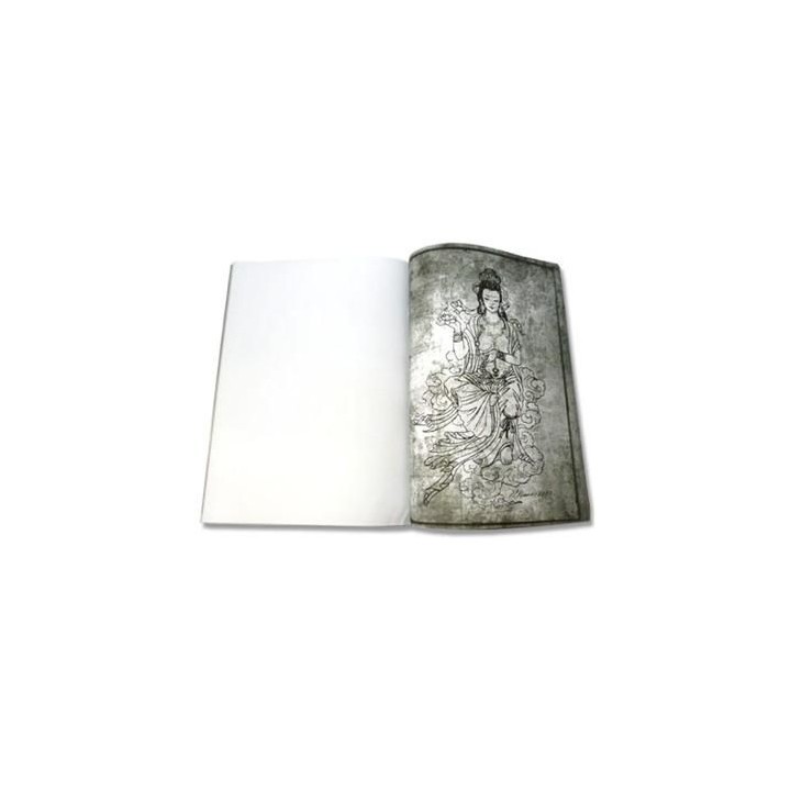 Libro Mauro Domingues