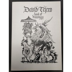 DAVID TEJERO. BOOK OF DRAWINGS