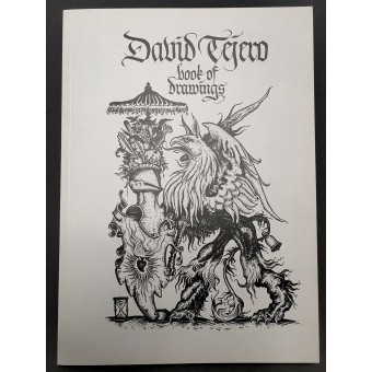 DAVID TEJERO. BOOK OF DRAWINGS