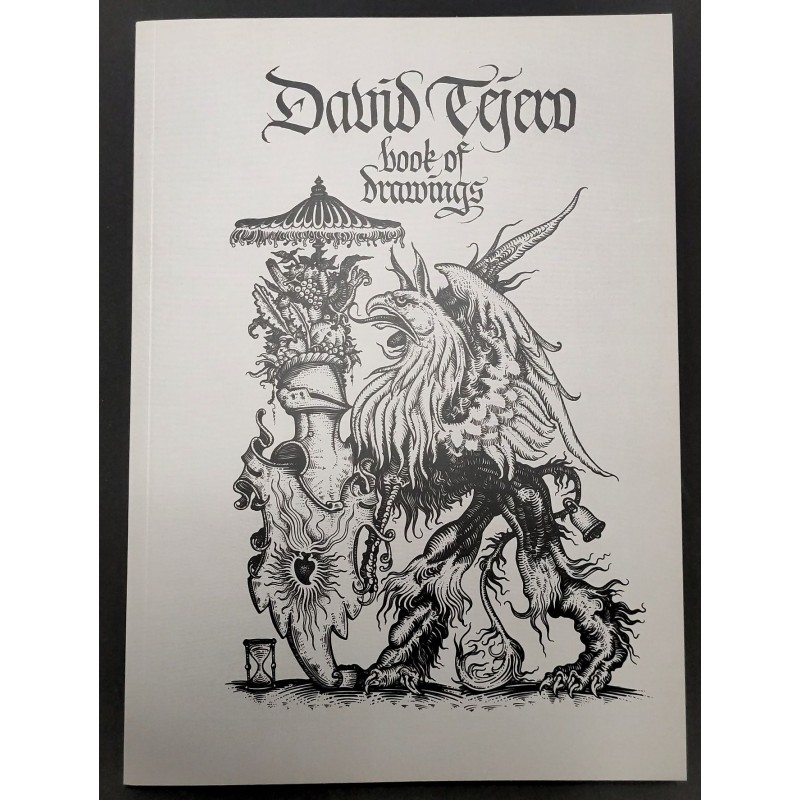 DAVID TEJERO. BOOK OF DRAWINGS
