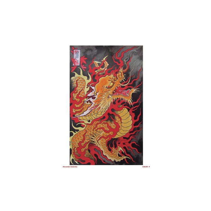 Dragones Vol.2