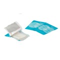 TOALLITAS BACTISEPTIC INCOLORO WIPES