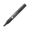 SHARPIE W10 PUNTA BISELADA