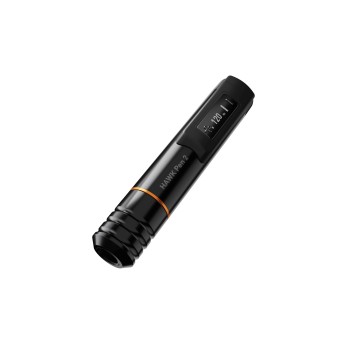 CHEYENNE HAWK PEN 2