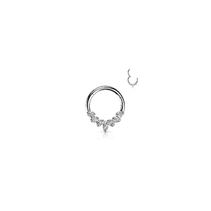 Clicker 7 Circonitas