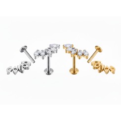 Labret Titanio 5 circonitas