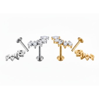 Labret Titanio 5 circonitas