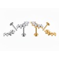 Labret Titanio 5 circonitas