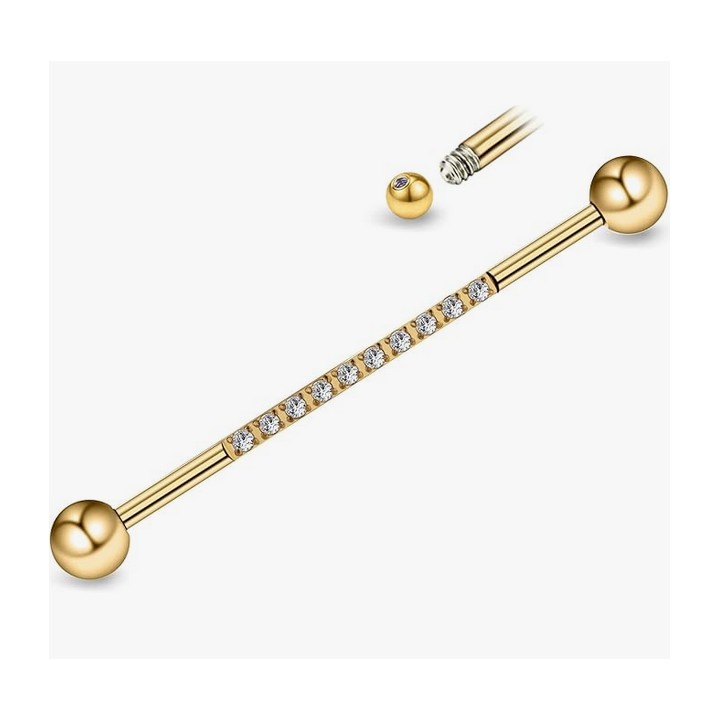Barbell Titanio Industrial Dorado