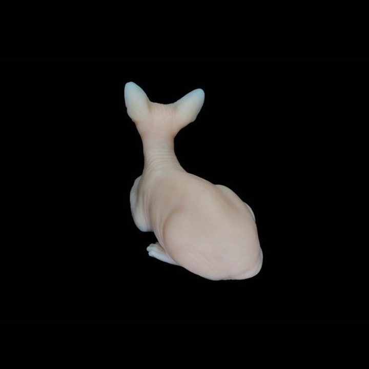 Gato Egipcio