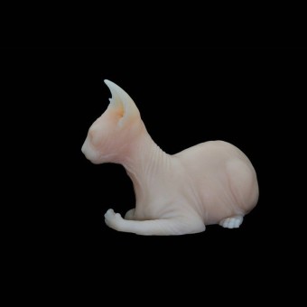 Gato Egipcio