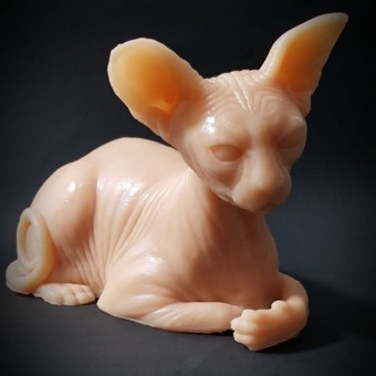 Gato Egipcio