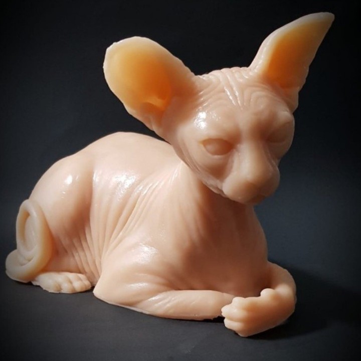 Gato Egipcio
